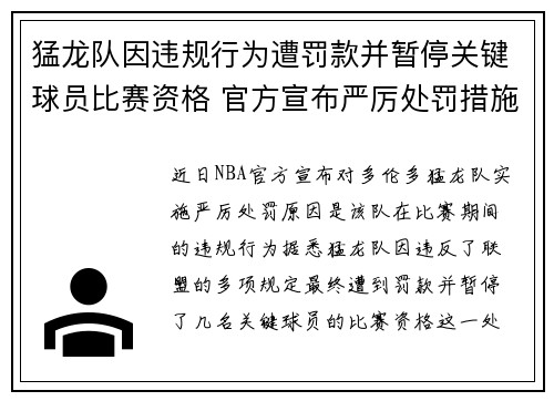 猛龙队因违规行为遭罚款并暂停关键球员比赛资格 官方宣布严厉处罚措施